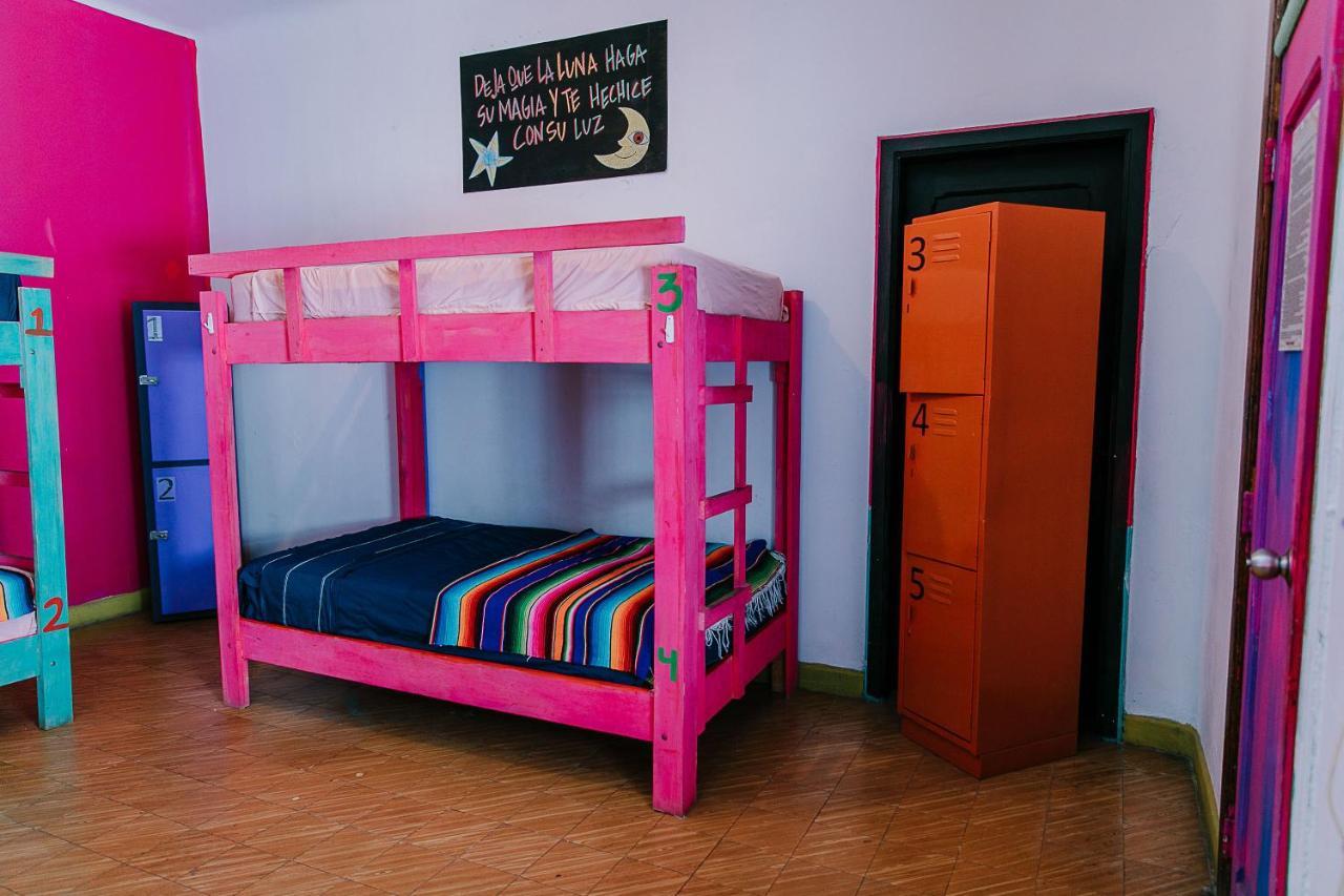 Hostal Chesal San Luis Potosi Bagian luar foto