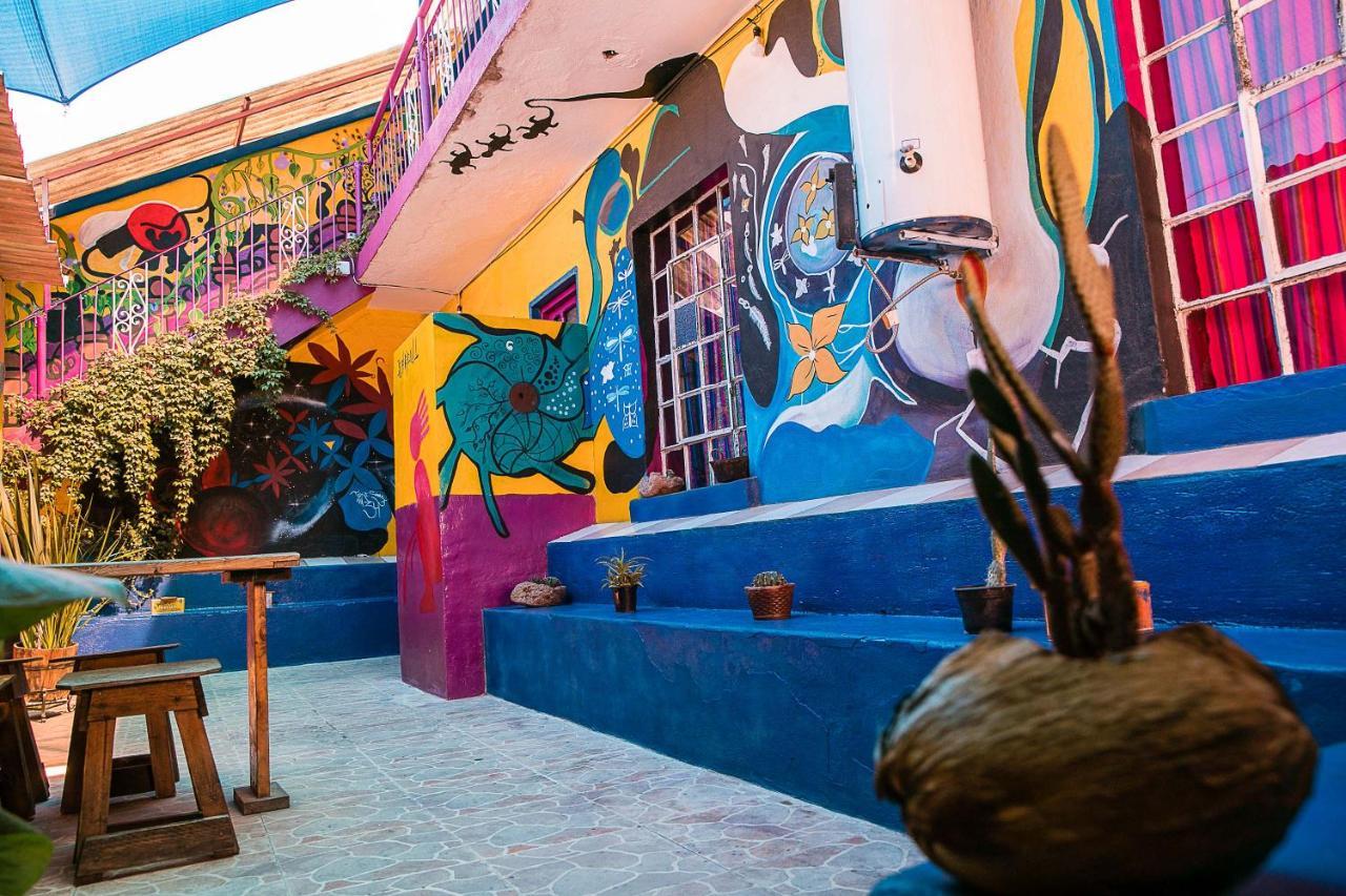 Hostal Chesal San Luis Potosi Bagian luar foto