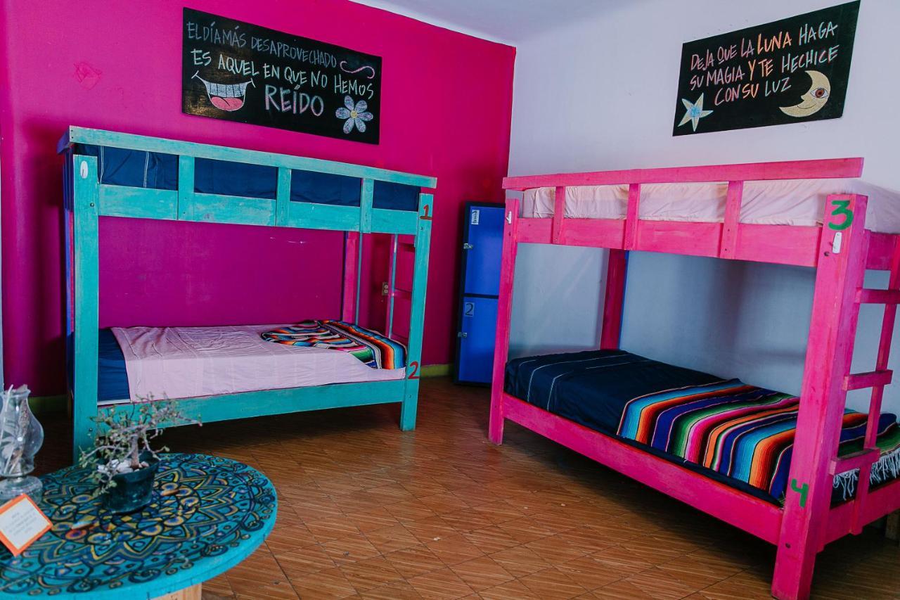 Hostal Chesal San Luis Potosi Bagian luar foto