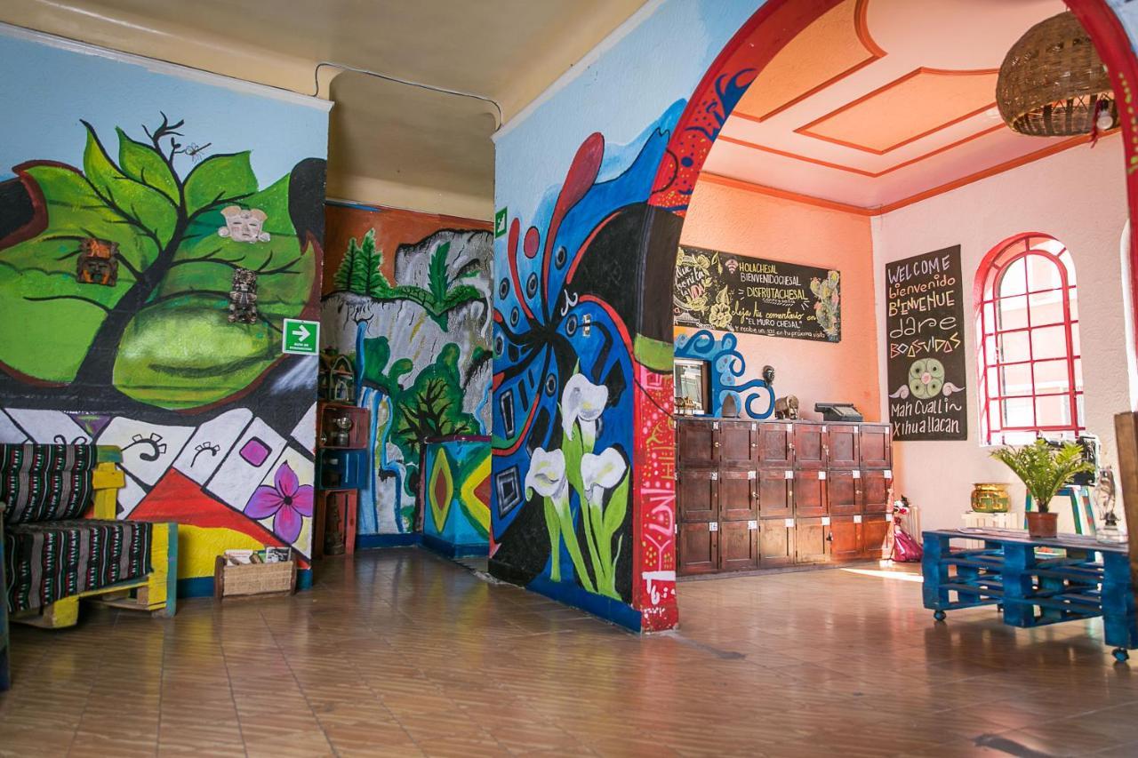 Hostal Chesal San Luis Potosi Bagian luar foto