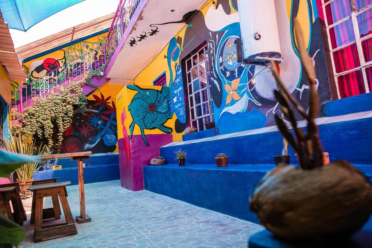 Hostal Chesal San Luis Potosi Bagian luar foto