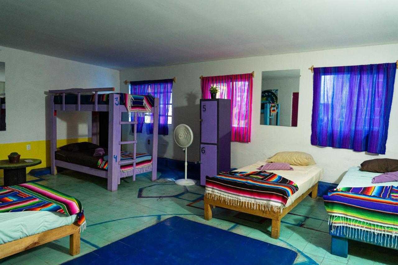 Hostal Chesal San Luis Potosi Bagian luar foto