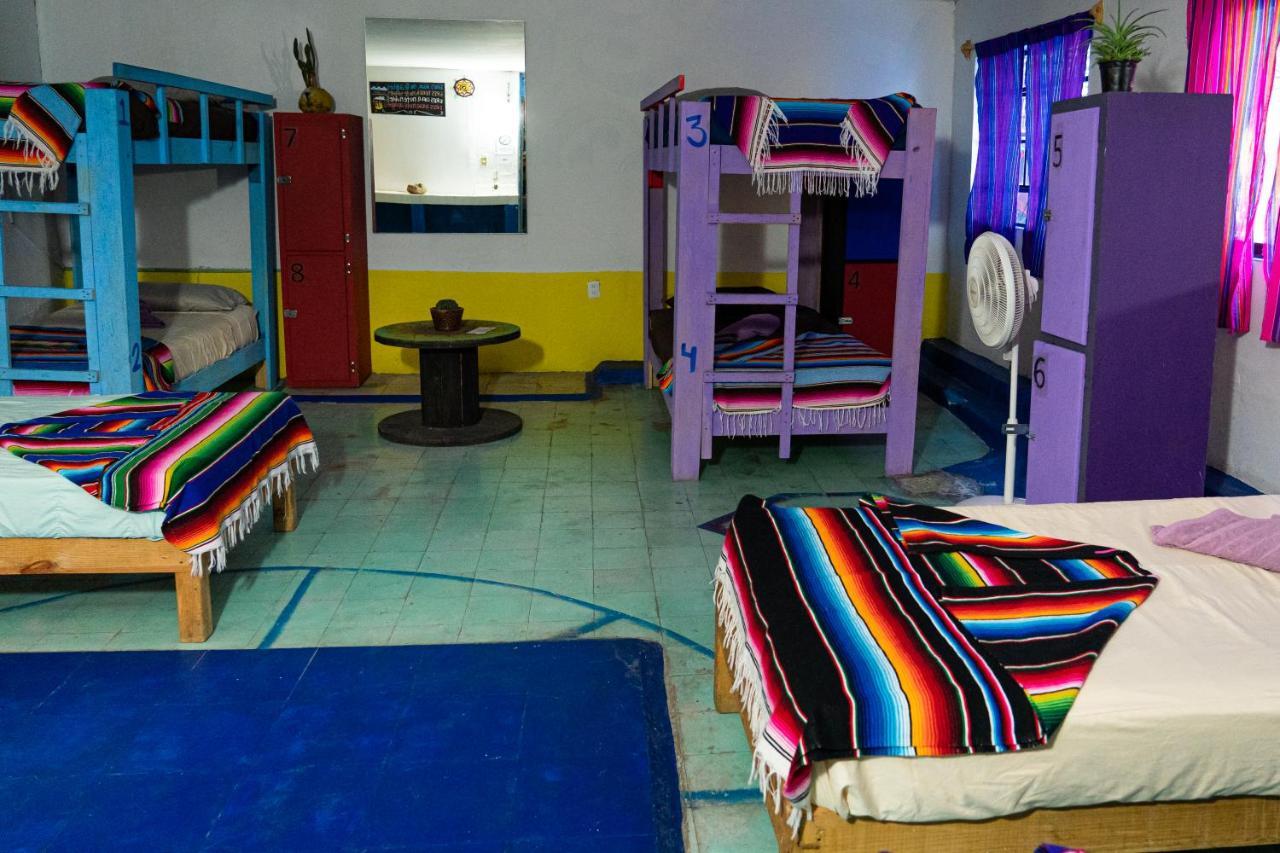 Hostal Chesal San Luis Potosi Bagian luar foto