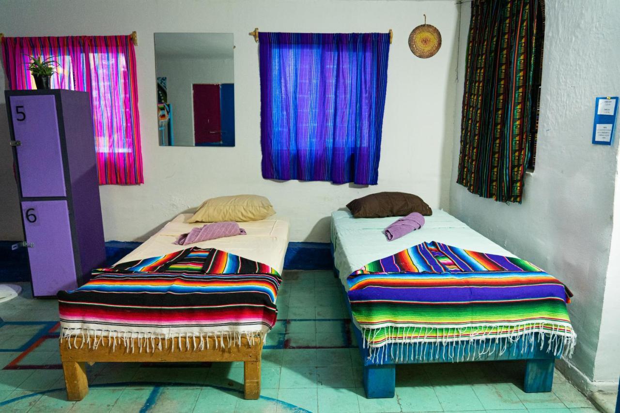 Hostal Chesal San Luis Potosi Bagian luar foto