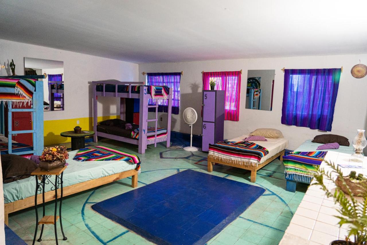 Hostal Chesal San Luis Potosi Bagian luar foto