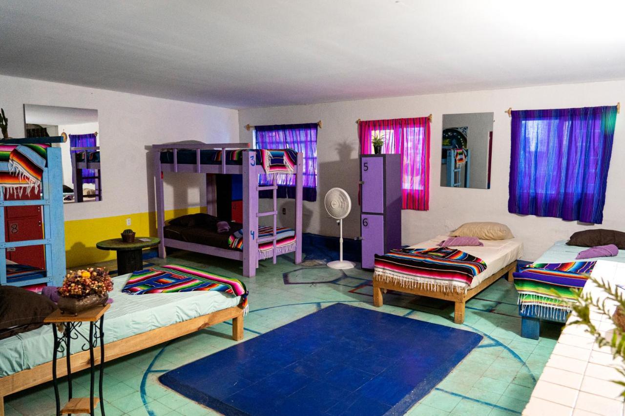 Hostal Chesal San Luis Potosi Bagian luar foto